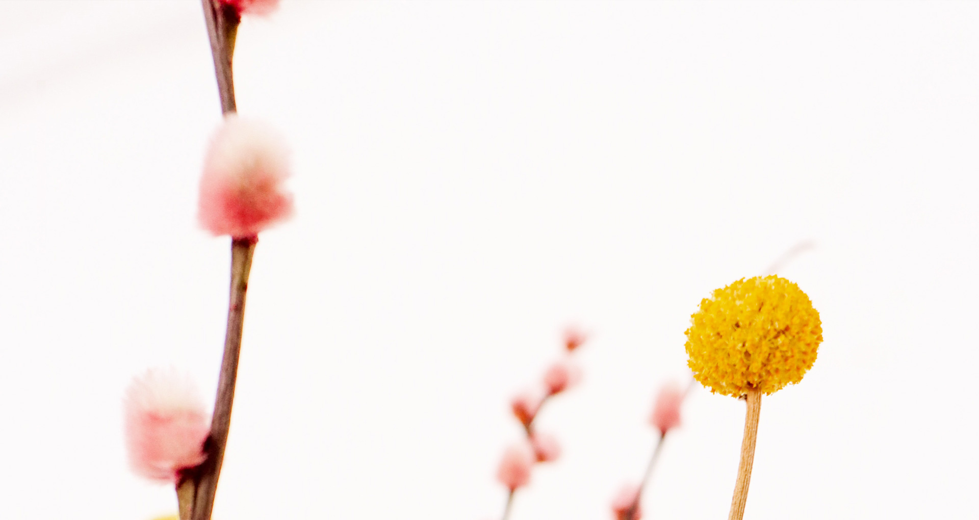 Wechseljahre. Und jetzt?